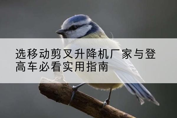 霍林郭勒电动升降机厂家-选移动剪叉升降机厂家与登高车必看实用指南