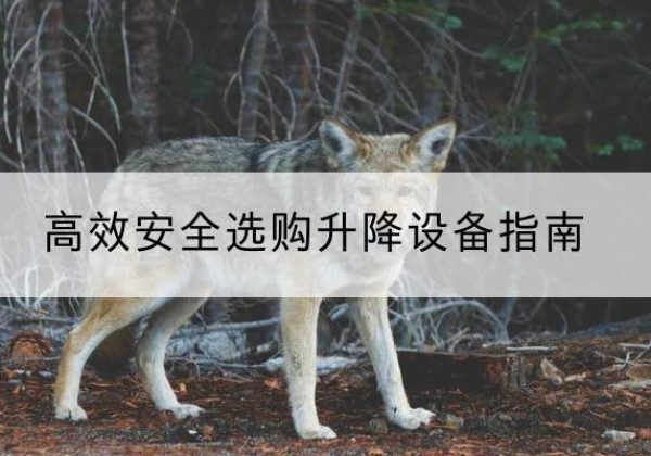 霍林郭勒升降货梯厂家推荐-*安全选购升降设备指南